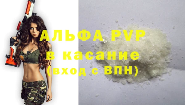 дживик Вяземский
