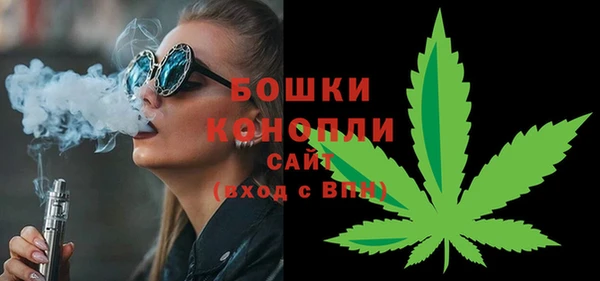СК Вязьма