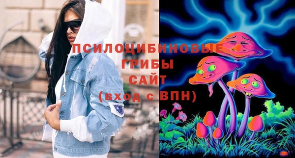 СК Вязьма