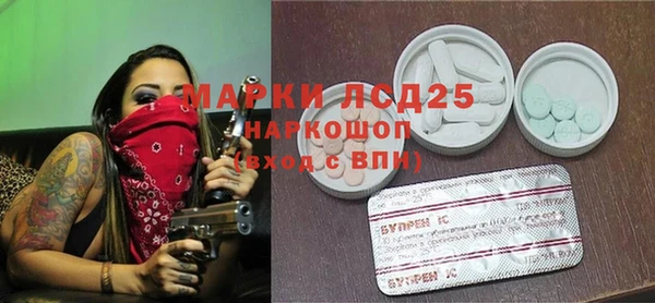 СК Вязьма