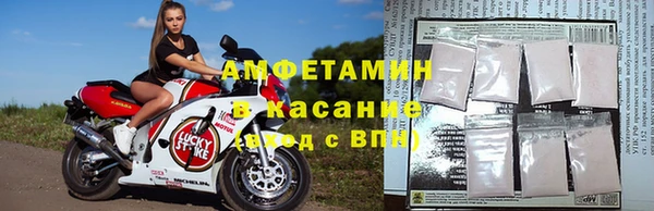 СК Вязьма