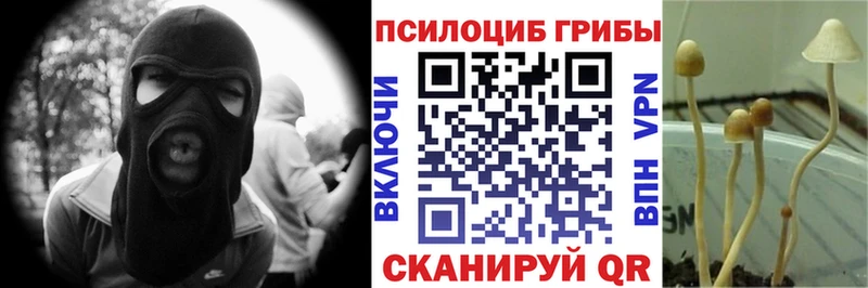 Псилоцибиновые грибы GOLDEN TEACHER  купить закладку  Минеральные Воды 